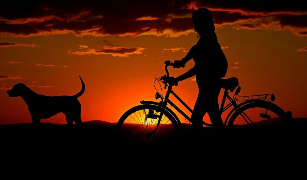 Frau mit Fahrrad im Sonnenuntergang Fahrradwartung Diese Checks vor der Fahrt durchführen