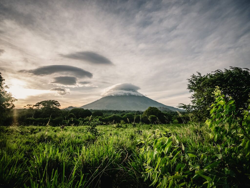 Natur unterwegs Gefährliche Tiere in Nicaragua – Worauf du achten solltest