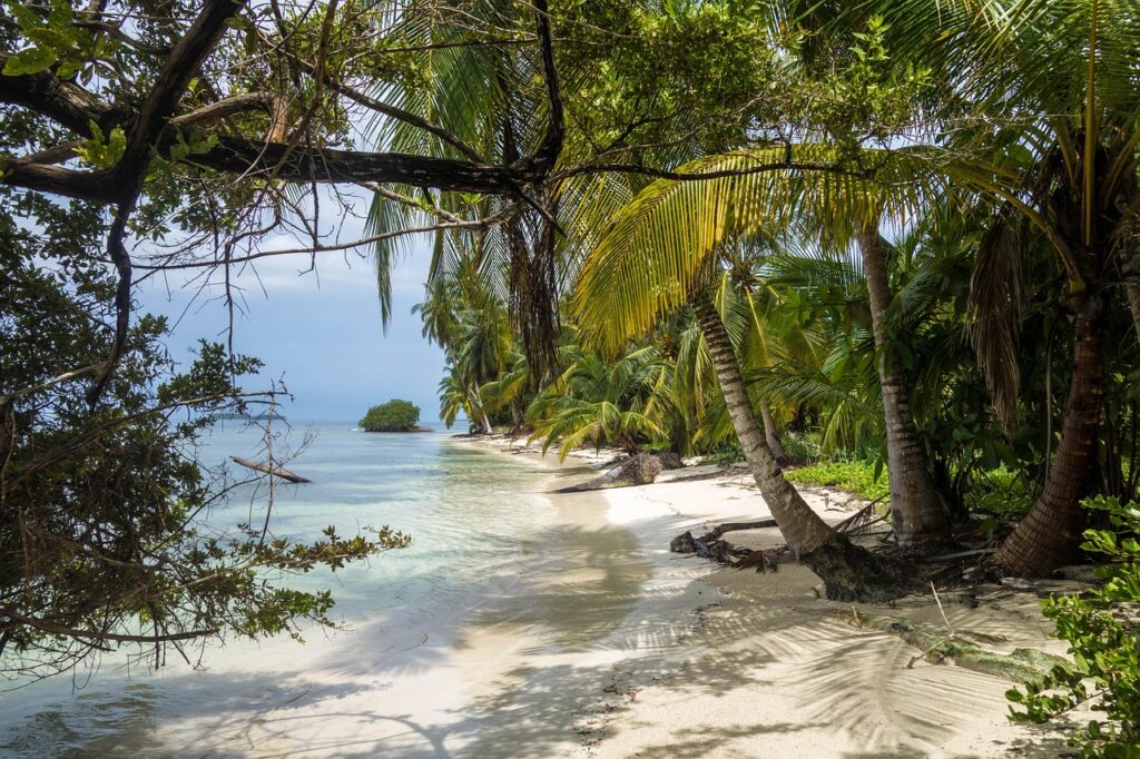 Panama Strand Gefährliche Tiere in Panama – Was du wissen solltest